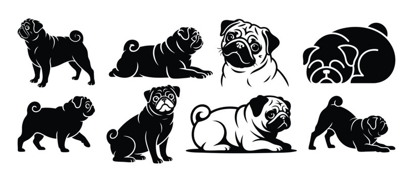 Pug Dog Silhouette Set Vector Collection | Cute Wrinkled Toy Breed Outline Bundle