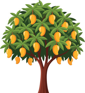 Mango tree vector illustration with ripe yellow fruit, tropical