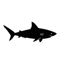 Fototapeta premium Silhouette of a shark swimming in the ocean, representing marine life and the underwater world.