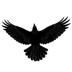 Obraz premium Black eagle bird with wings spread in flight silhouette