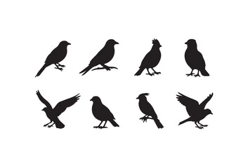 Obraz premium Black bird silhouettes, crow icons, bird graphics, vector illustrations
