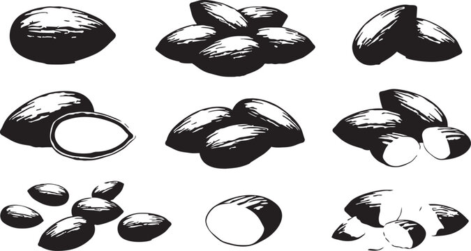 Almonds whole and halved displayed in a grid pattern with ingredient, collection