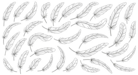 Fototapeta premium Large collection of diverse grey and white bird feathers scattered in various orientations across a clean white background.