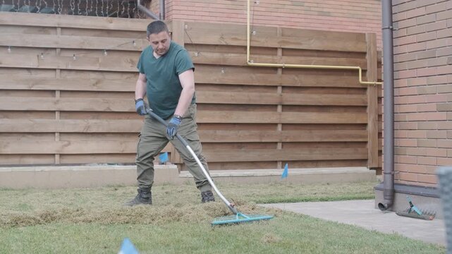 Man raking a pile of dry grass and moss after scarifying a lawn in a private house backyard.