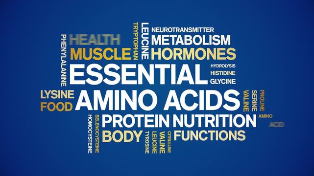 Essential Amino Acids animated word cloud-text design animation tag kinetic typography seamless loop.