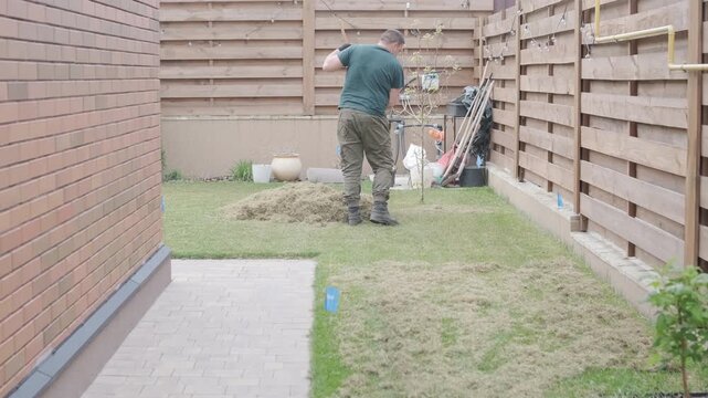 Man raking a pile of dry grass and moss after scarifying a lawn in a private house backyard.