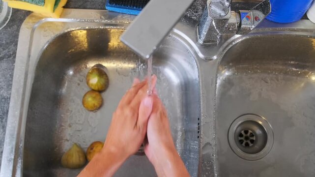 Female hands washing figs top view under running water in kitchen sink, cleaning ripe fruit before eating or cooking, everyday food preparation and hygiene routine with fresh produce