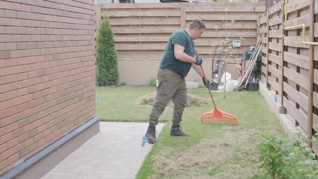 Man raking a pile of dry grass and moss after scarifying a lawn in a private house backyard.