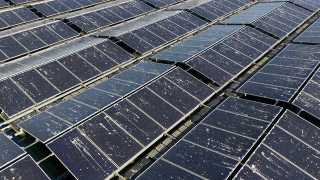 Aerial view of floating solar panels on the Sekdoornse Plas lake with rows of photovoltaic modules reflecting the sunlight in Zwolle, Overijssel, Netherlands.
