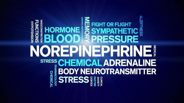 Norepinephrine animated word cloud-text design animation tag kinetic typography seamless loop.