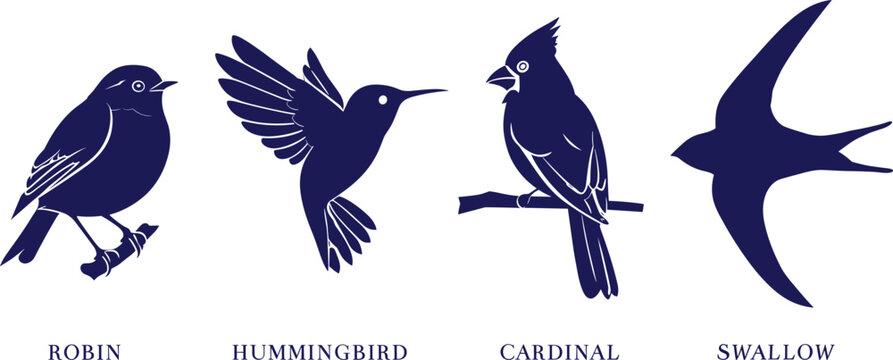 Four different types of birds robin hummingbird cardinal swallow.