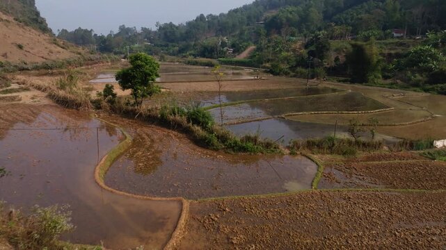 Mường Cang, Than Uy&ecirc;n, Lai Ch&acirc;u, Vietnam, elevated aerial of flooded rice paddies divided by curving dikes and a lone tree, with village greenery and hills beyond.