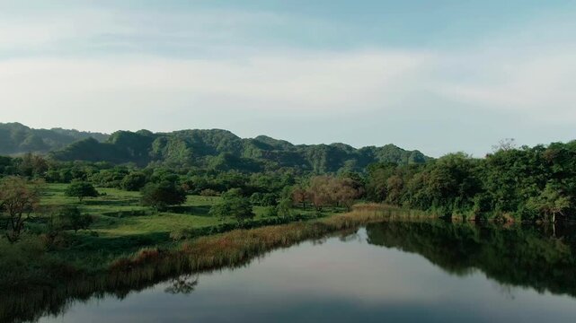 Aerial view glides above lush green forest and lake toward hills under blue sky