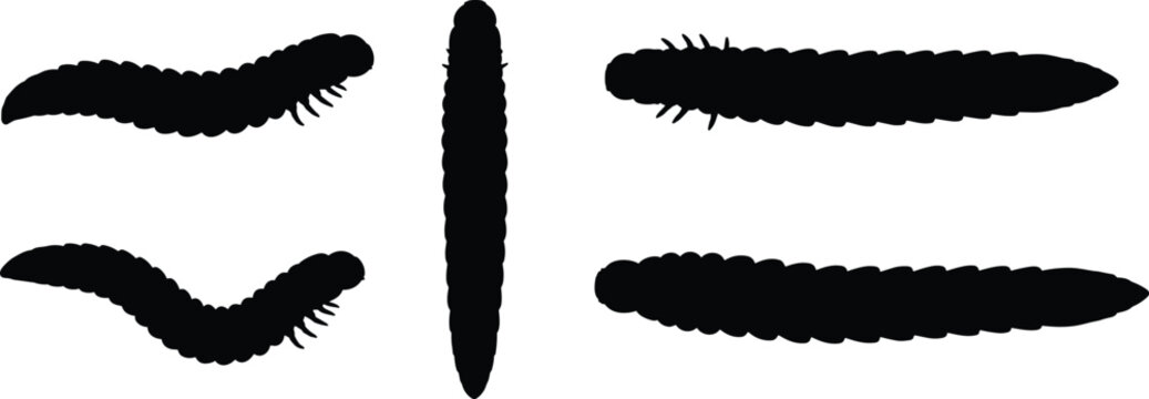 Glow worm vector illustrations. Silhouette designs of glow worms in various shapes and poses. Ideal for nature, insect, and educational designs.