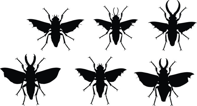 Dobsonfly vector illustrations. Silhouette designs of dobsonflies with detailed wings and unique features in various poses. Ideal for insect and nature-themed designs.