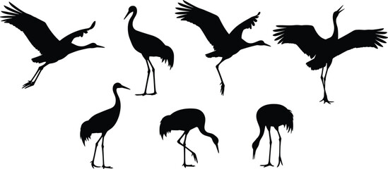 Obraz premium Crane birds vector set. Silhouette illustrations of crane birds in various postures, including flying, standing, and foraging. Perfect for nature and wildlife-themed projects.