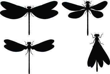 Damselfly insect vector illustrations. Silhouette designs showing damselflies with open wings in various angles. Perfect for nature and entomology-themed projects. © Olivia