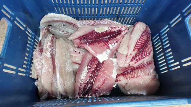 raw seafood processing in a local market environment. emphasizes texture, color contrast between white flesh and red muscle lines, and the manual handling of fresh fish.