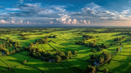 Obraz premium Lush green rice fields landscape at sunset with dramatic clouds