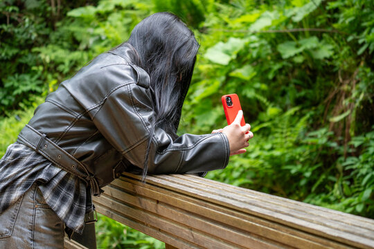 young woman making picture of nature with a phone