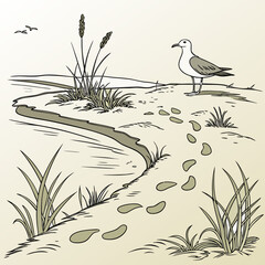 Seashore scene with seagull footprints and grassy vegetation illustration high quality © RUJINA
