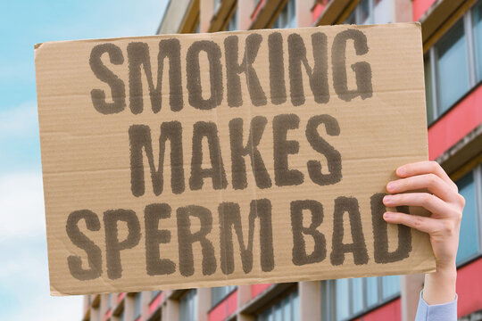 "Smoking Makes Sperm Bad" research confirms smoking measurably degrading adult modern daily male sperm quality. REAL. LIFE. MODERN. HUMAN. BODY.