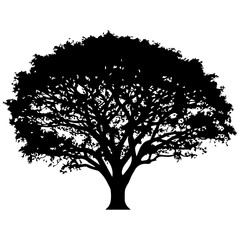 Fototapeta premium Silhouette of a Majestic Tree with Lush Canopy Against White Background