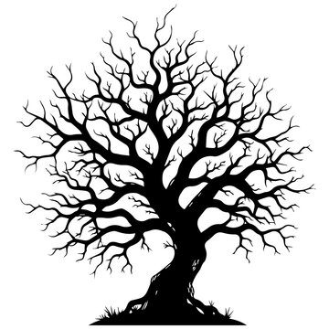 Black and white silhouette of a gnarled, leafless tree against a white background