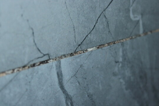 Black mold and fungus growing in bathroom tile grout close up