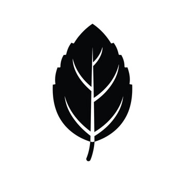 Black Silhouette of a Single Mint Leaf on White Background
