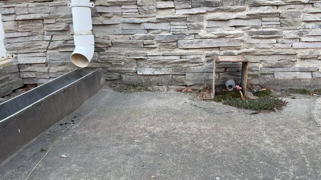 White downpipe and towed water crane sit against stone facade on paved yard, small planter with weeds and metal bracket, scattered.