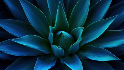 Fototapeta premium Deep cyan and blue succulent plant with stunning organic texture and captivating tranquility.