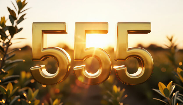 large golden numbers '555' glowing in the sunlight. Surrounding the golden numbers are green plants under a warm, sunset sky.