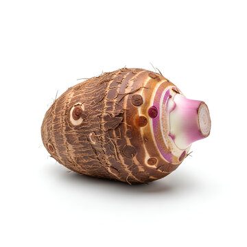Freshly harvested taro root a starchy edible tuber isolated on white background.