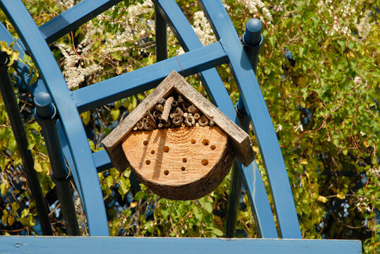 Hotel &agrave; insectes