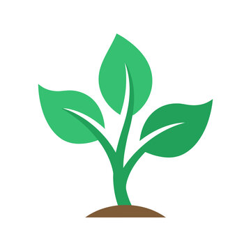 Green sprouting plant growing from soil
