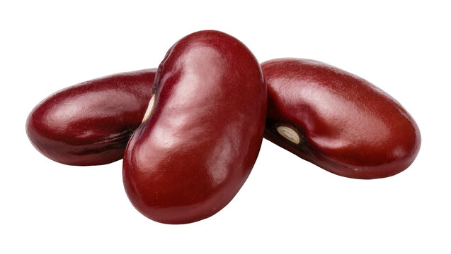 Three shiny red kidney beans close-up view