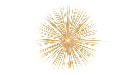 Naklejka premium Golden firework explosion with radiating sparks against a plain white background.