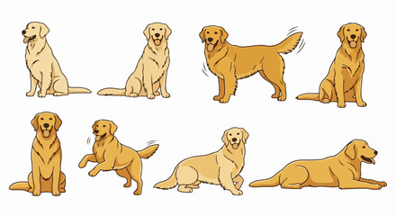 Fototapeta premium Collection of golden retriever dogs in various playful poses