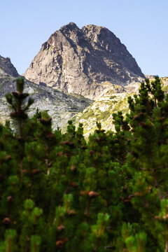Malyovitsa Peak above alpine pine forest in Rila Mountain Bulgaria