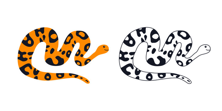 Python Snake Vector. Colorful and Black Outline. Cartoon Reptile Illustration. Isolated on Background