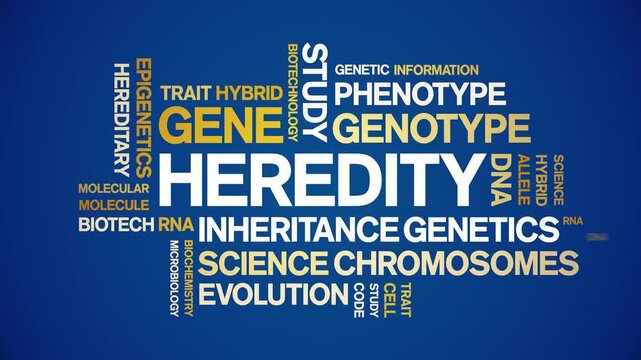Heredity animated word cloud-text design animation tag kinetic typography seamless loop.