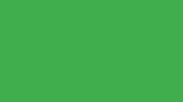 Minimal Hand-Drawn Lower Third Graphic | 2D Animated Name Bar on Green Screen | Playful Doodle Text Overlay hand drawn animation