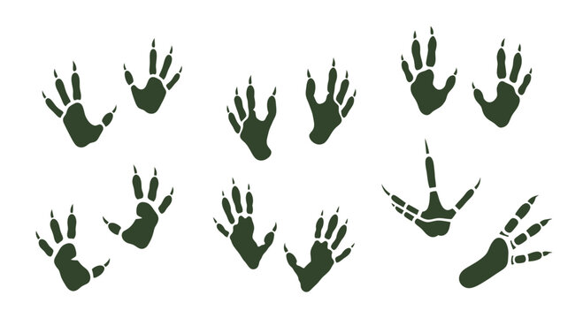 Animal Paw Prints Set on White Background