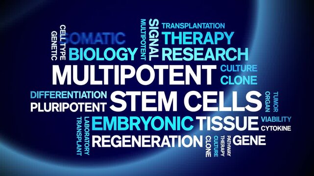 Multipotent Stem Cells animated word cloud-text design animation tag kinetic typography seamless loop.
