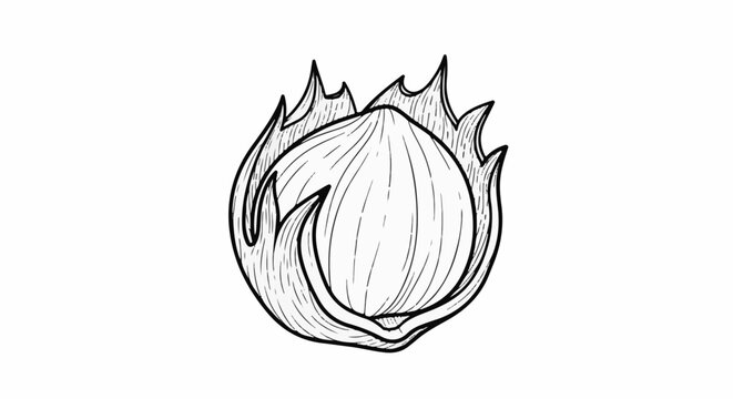 Detailed black and white line drawing of a single hazelnut enclosed in its husk