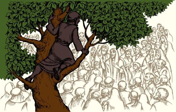 Vector drawing. Zacchaeus on the tree