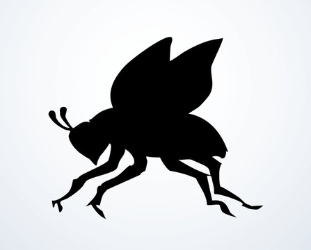 Vector drawing. Dogfly. One of the Plagues of Egypt.