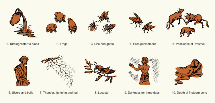 Vector drawing. 10 plagues of Egypt