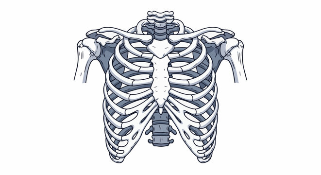Detailed pixel art of a human rib cage with clavicles and shoulders